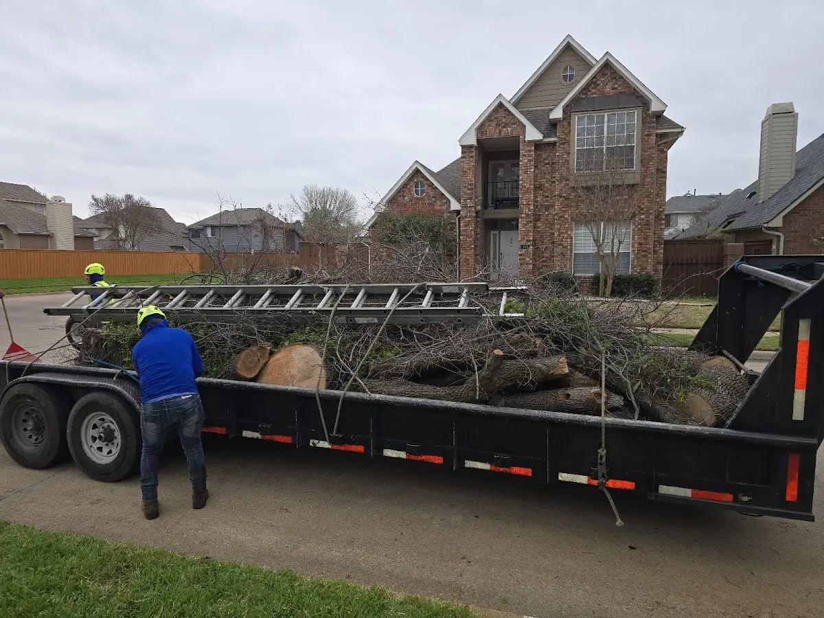 Expert Crown Reduction with proper safety equipment in Hopkins Park